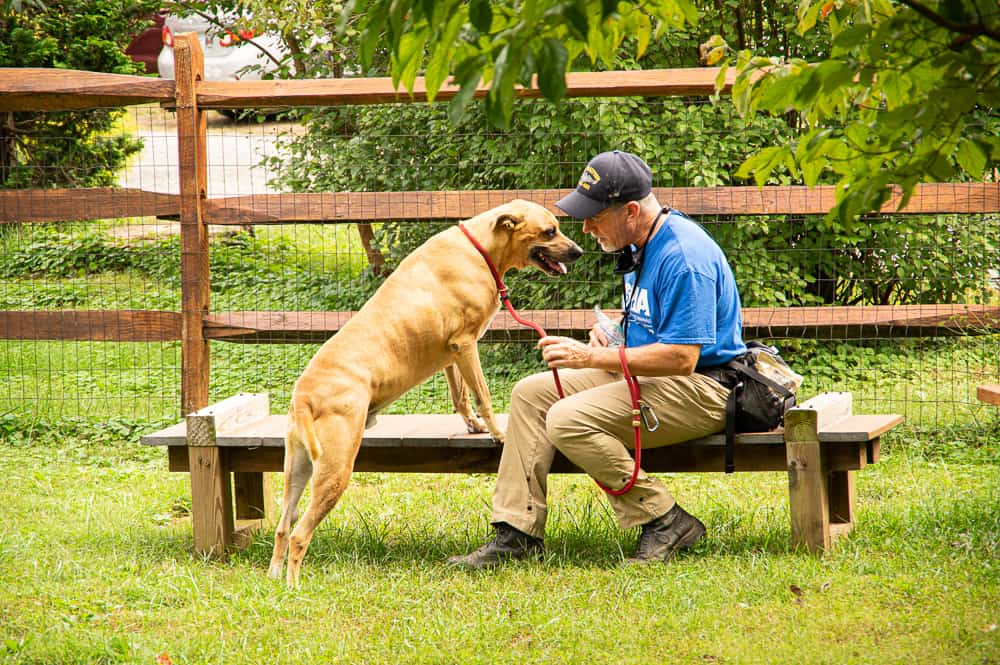 Man and his Dog at Friends of Homeless Animals