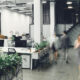 The Power of Details: Top Office Furniture Add-Ons & Accessories